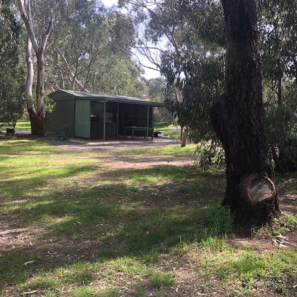Pine Flat Cook Shed